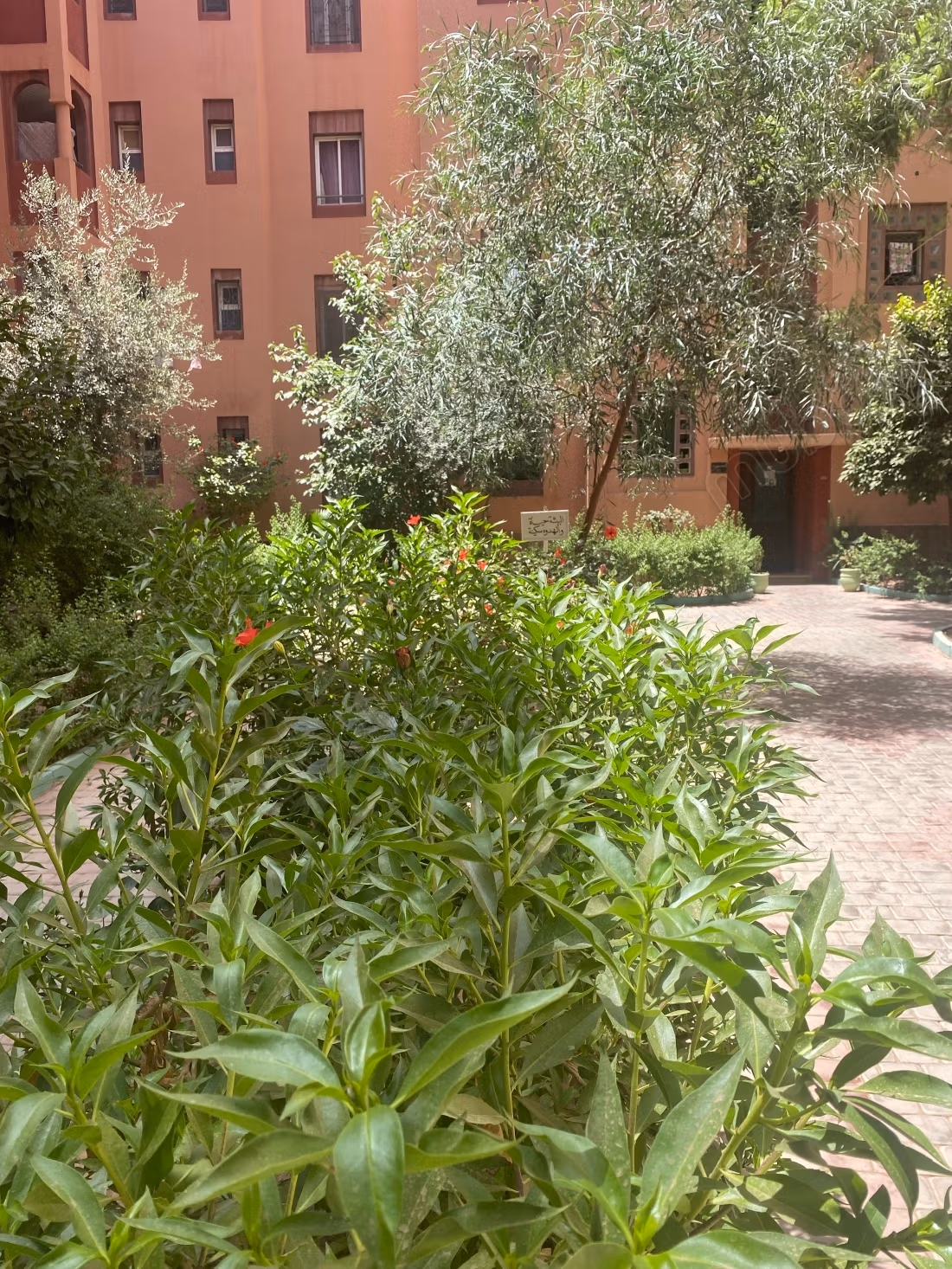Appartamento arredato in affitto nella Residenza Najd