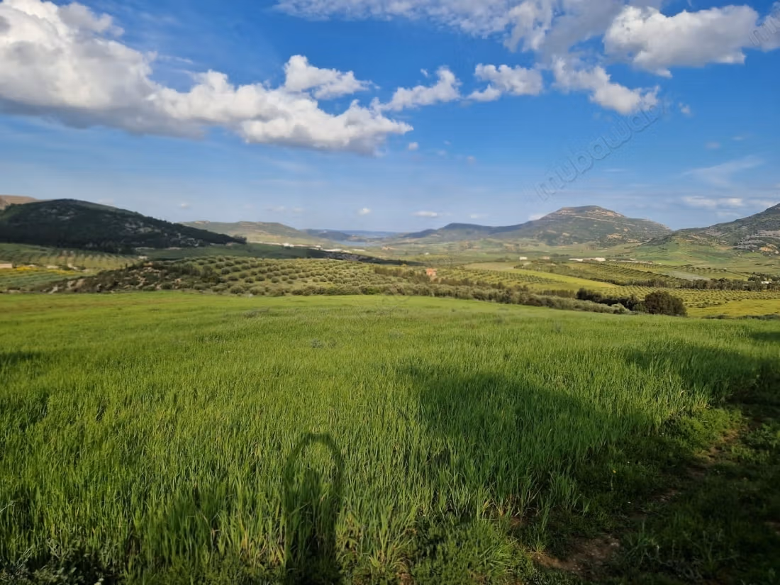Agricultural land for sale in Grombalia Jebel Trif