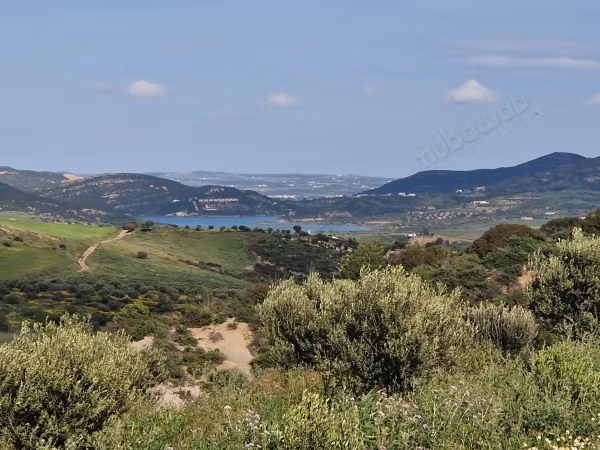 Agricultural land for sale in Grombalia Jebel Trif