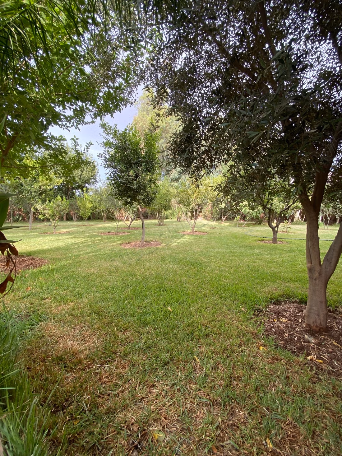 Eccellente villa in affitto annuale sulla strada di Fes. Superficie totale di 100 m². Aria condizionata e piscina.