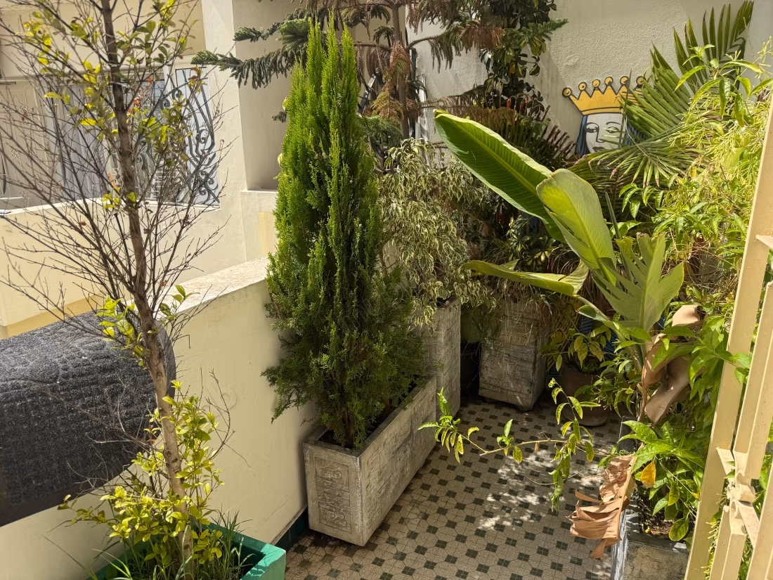 En alquiler - estudio en Gauthier