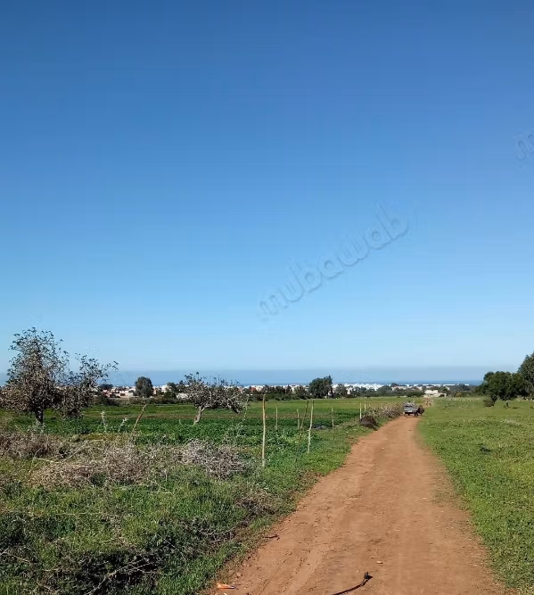 Terrain à vendre à Béni Yakhlef. Surface totale 20000 m²