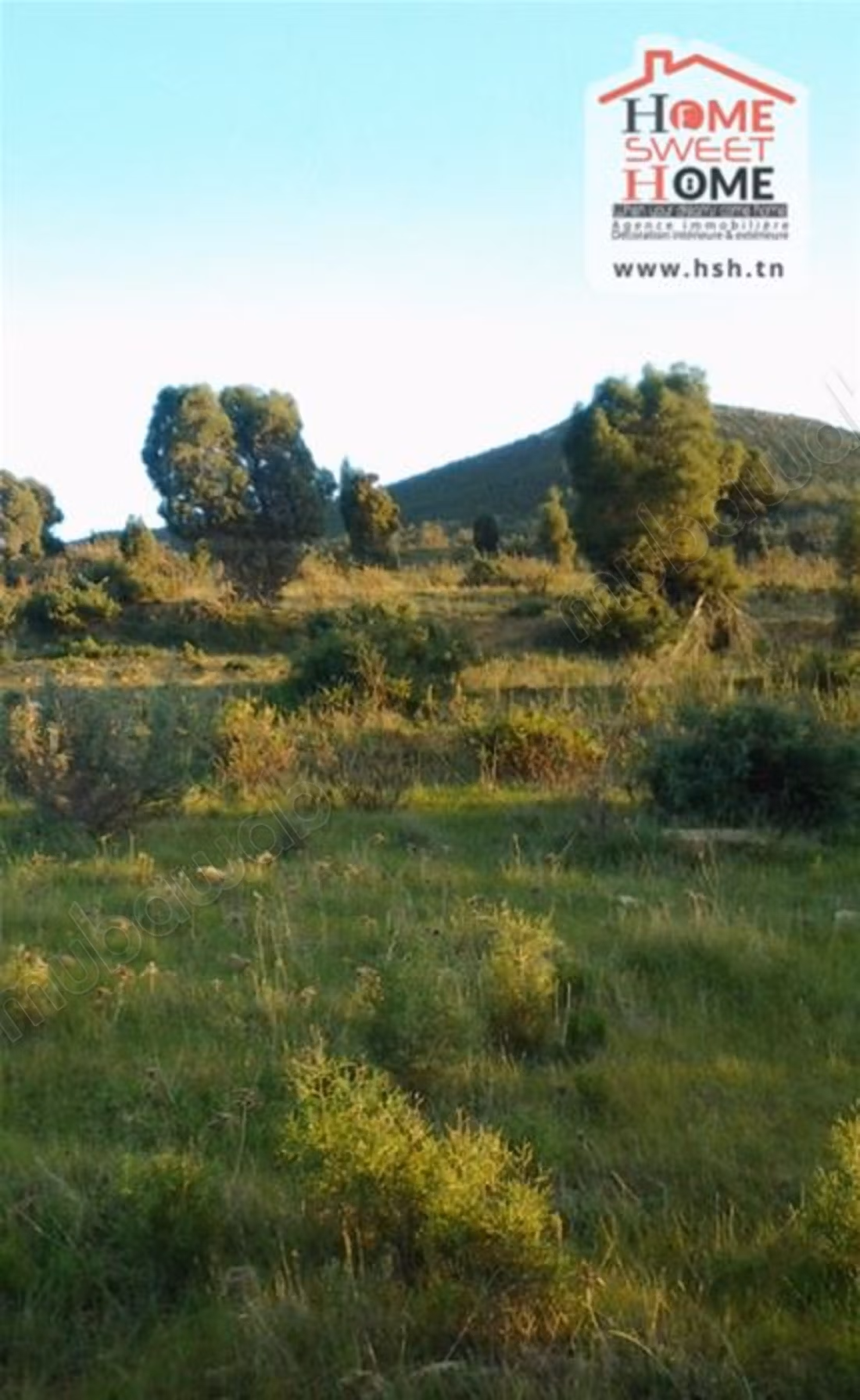 Terreno ricreativo Liani in vendita a Bouargoub