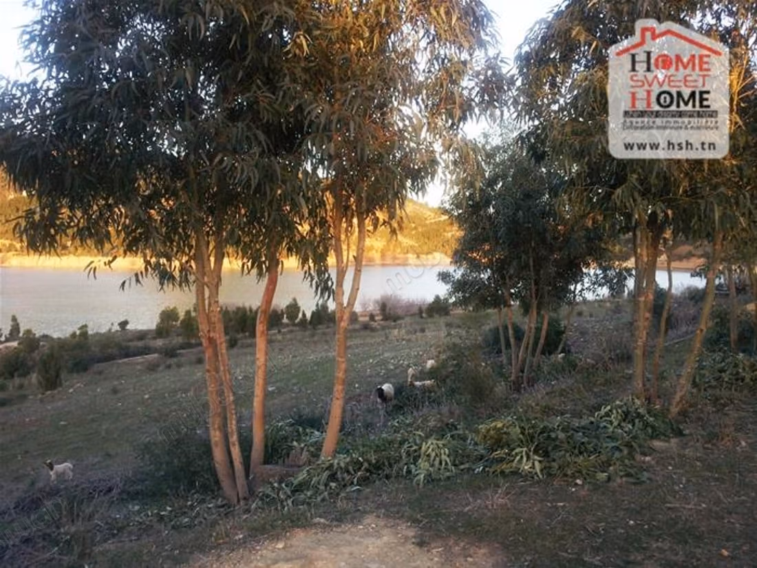 Terreno ricreativo Liani in vendita a Bouargoub