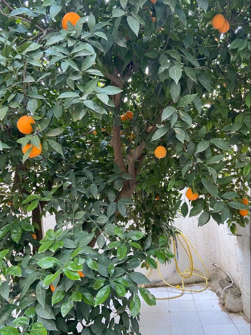 Da non perdere villa con tre studi