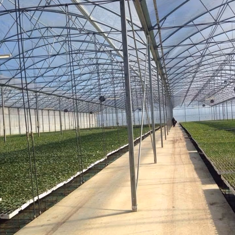 Pleasant farm for sale on Route d'Agadir Essaouira. Area 83000 m². Secured 24/7