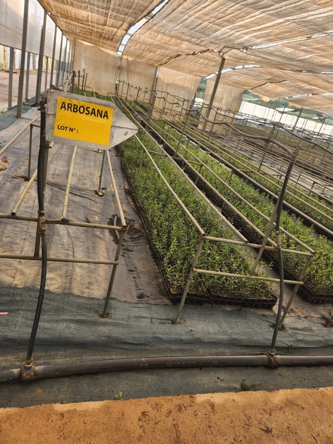 Pleasant farm for sale on Route d'Agadir Essaouira. Area 83000 m². Secured 24/7