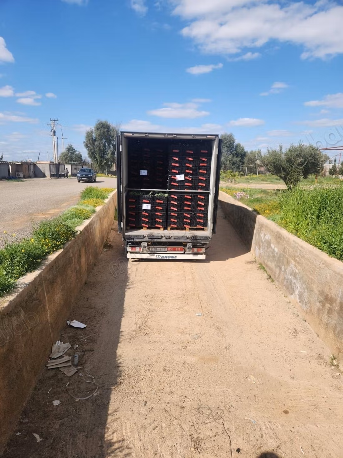 Pleasant farm for sale on Route d'Agadir Essaouira. Area 83000 m². Secured 24/7