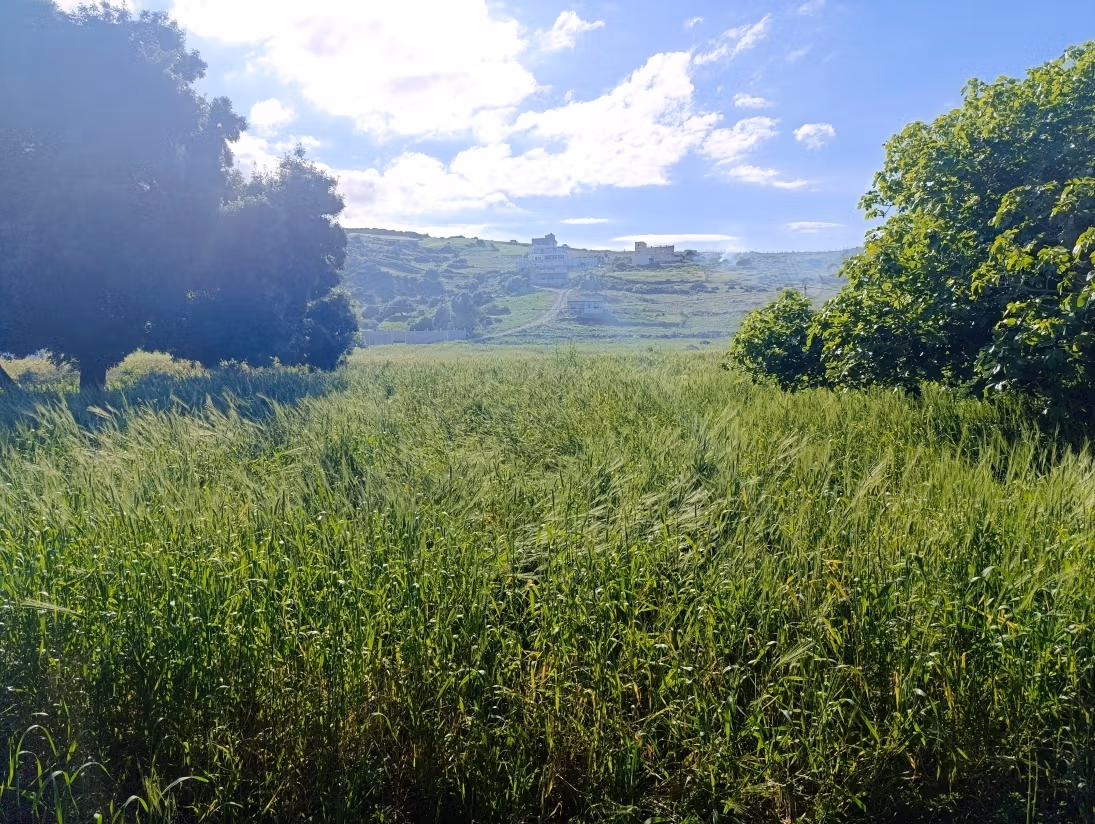 Vente de terrain au petit palais. Surface totale 666 m²