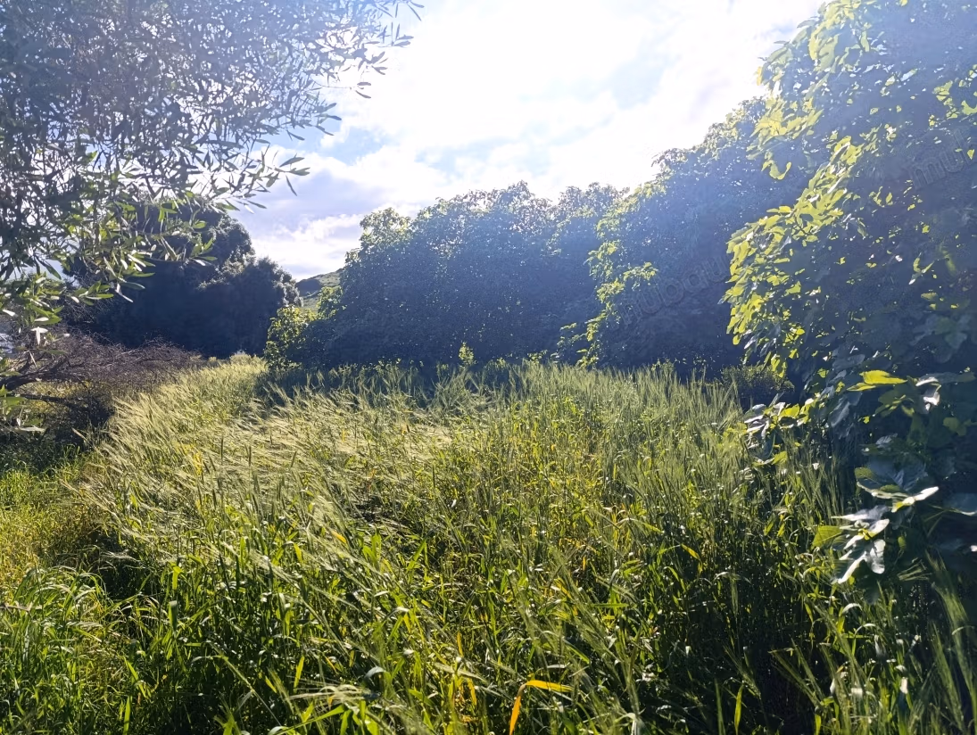 Vente de terrain au petit palais. Surface totale 666 m²