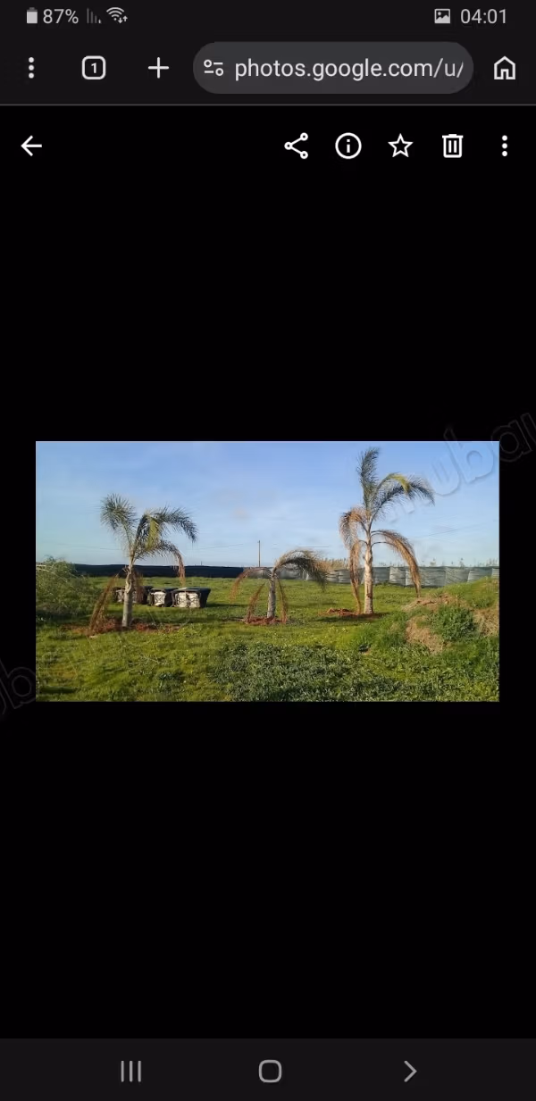Terrain à vendre à Skhirat d'une superficie totale de 2800 m²