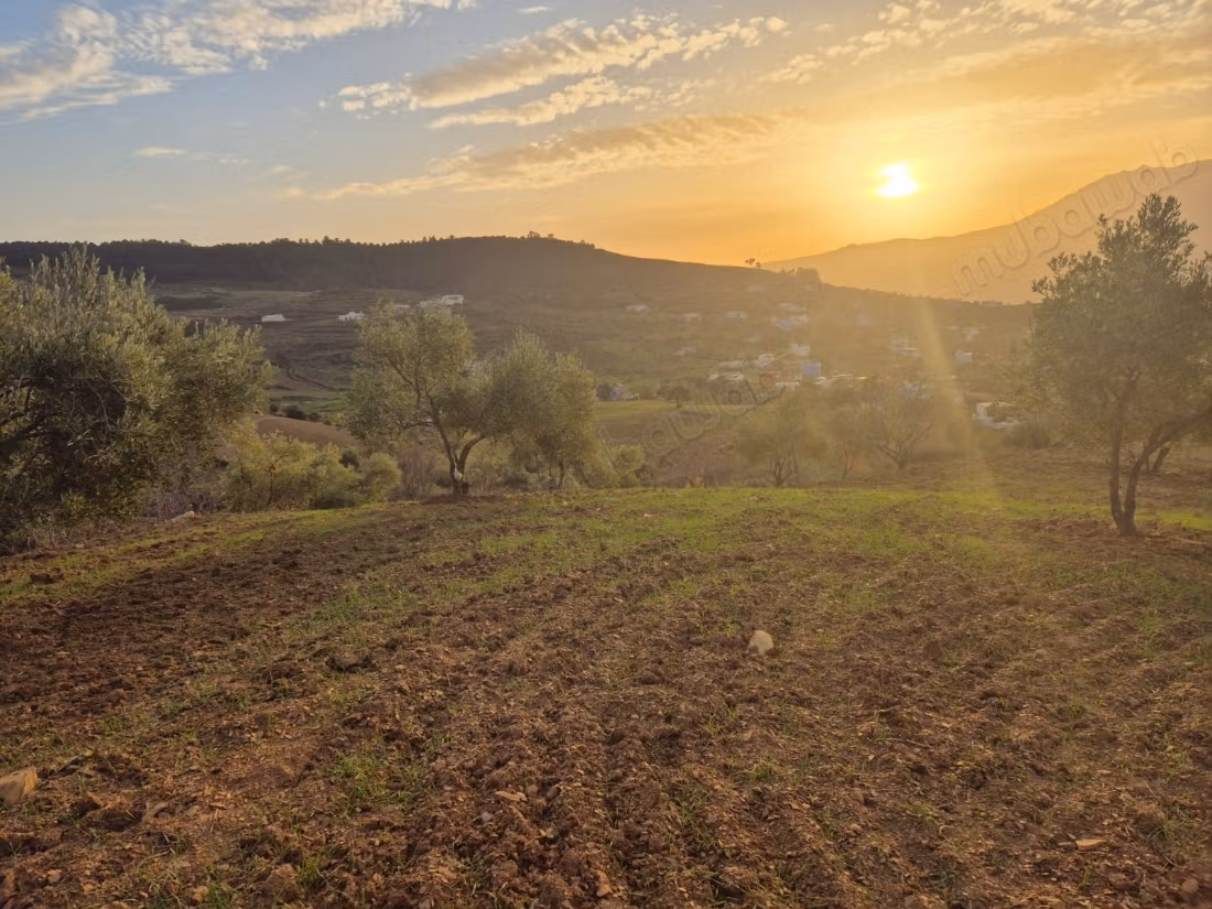 Terrain à vendre. Dimensions 19700 m²