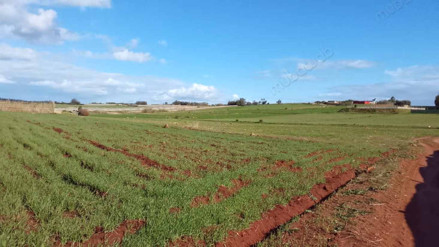 Hermosa granja en venta en Chtouka. Superficie total 100 m²