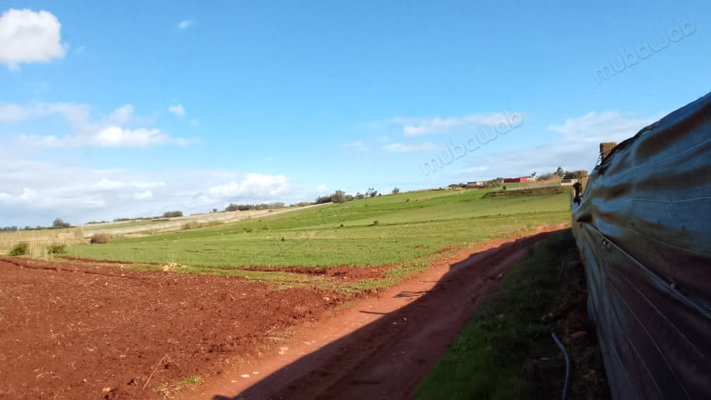 Hermosa granja en venta en Chtouka. Superficie total 100 m²
