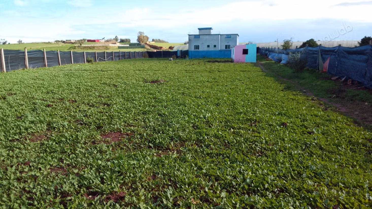 Hermosa granja en venta en Chtouka. Superficie total 100 m²