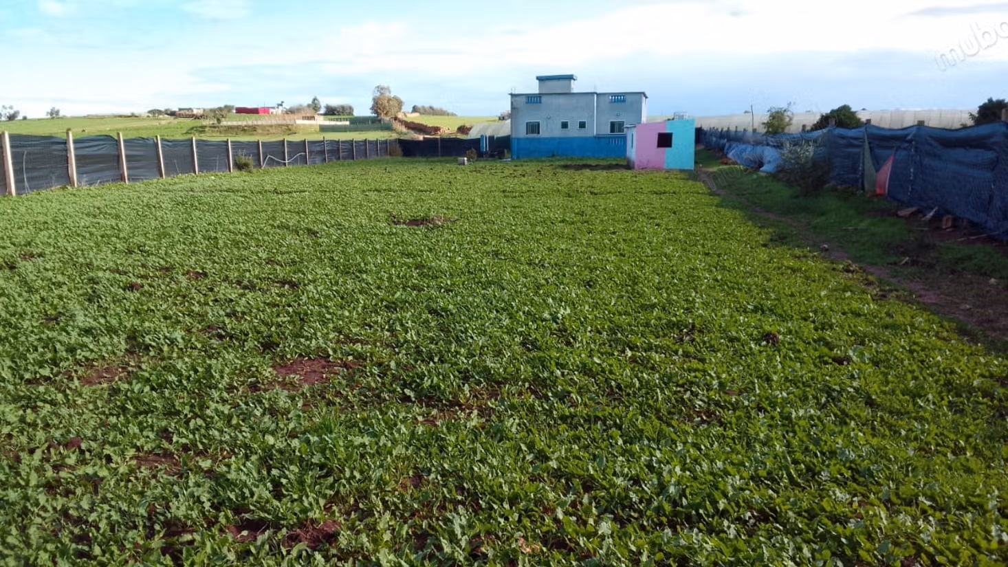 Hermosa granja en venta en Chtouka. Superficie total 100 m²