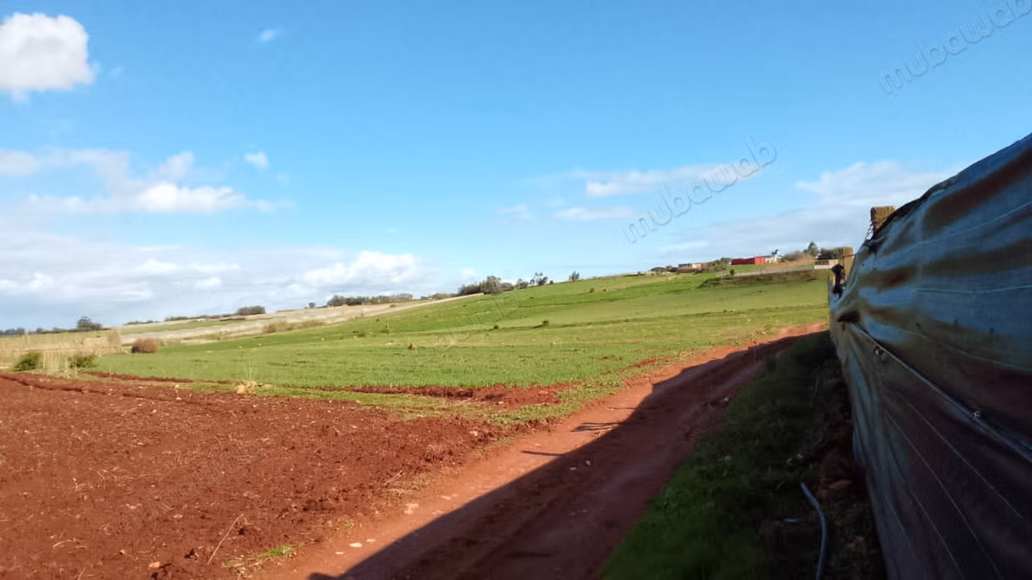 Hermosa granja en venta en Chtouka. Superficie total 100 m²