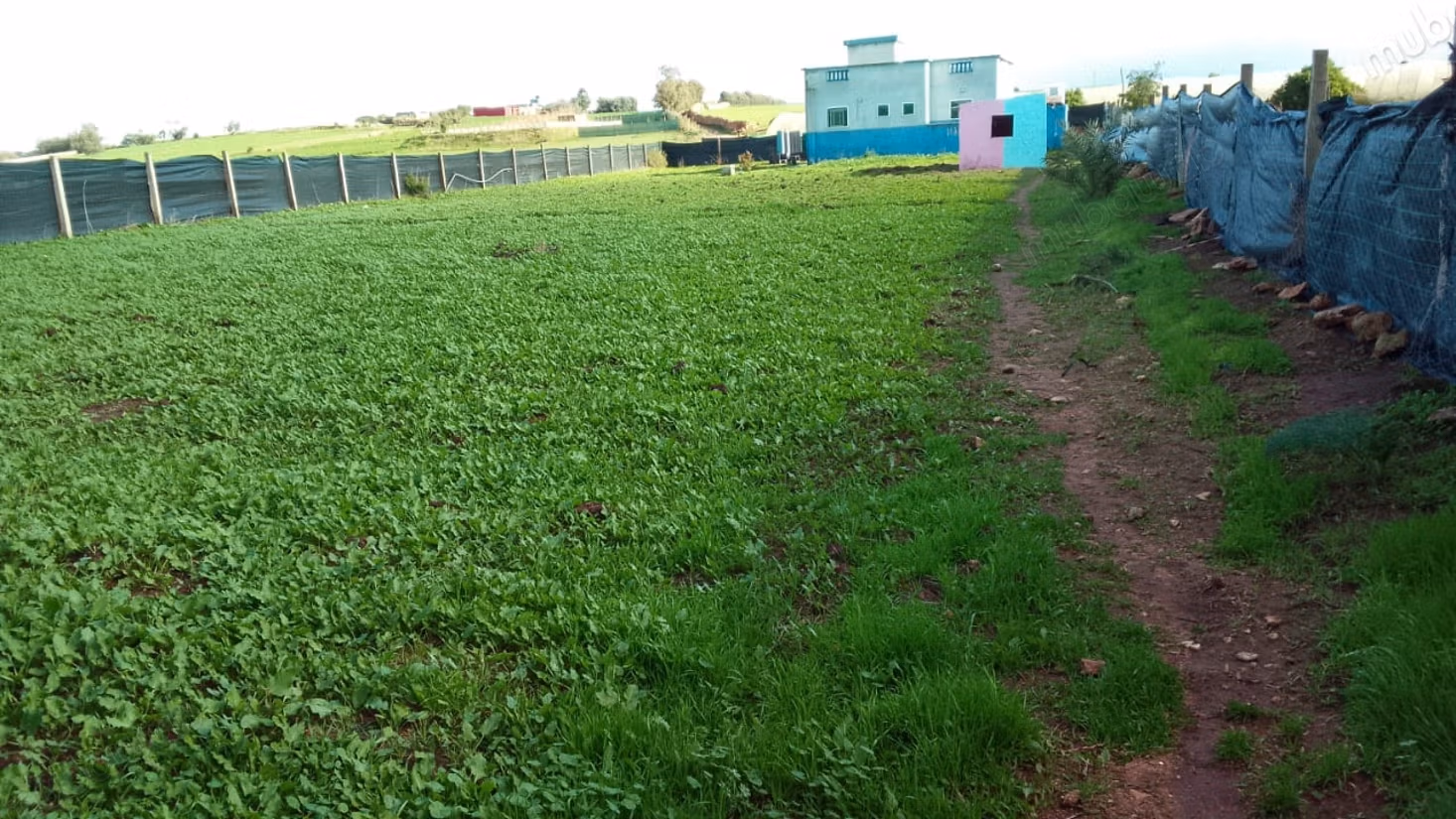 Hermosa granja en venta en Chtouka. Superficie total 100 m²