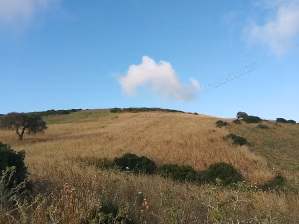 Venta de terreno en Asilah. Superficie 11800 m²