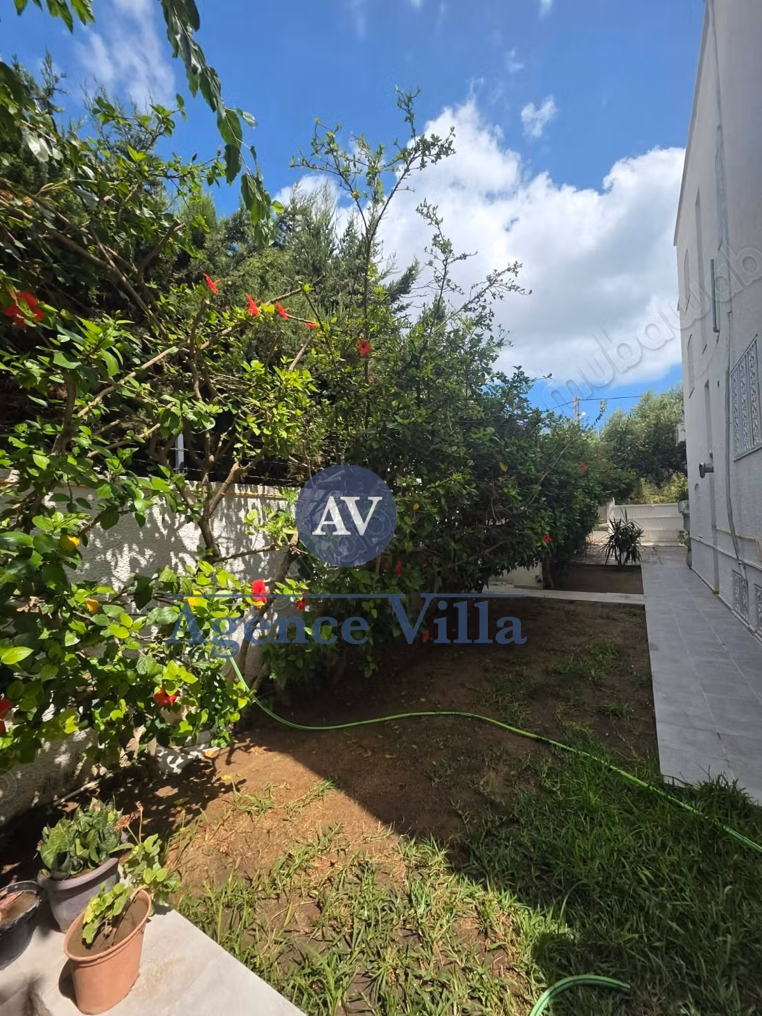 In affitto - Villa S5 con terrazza e vista mare a Cartagine Salambo