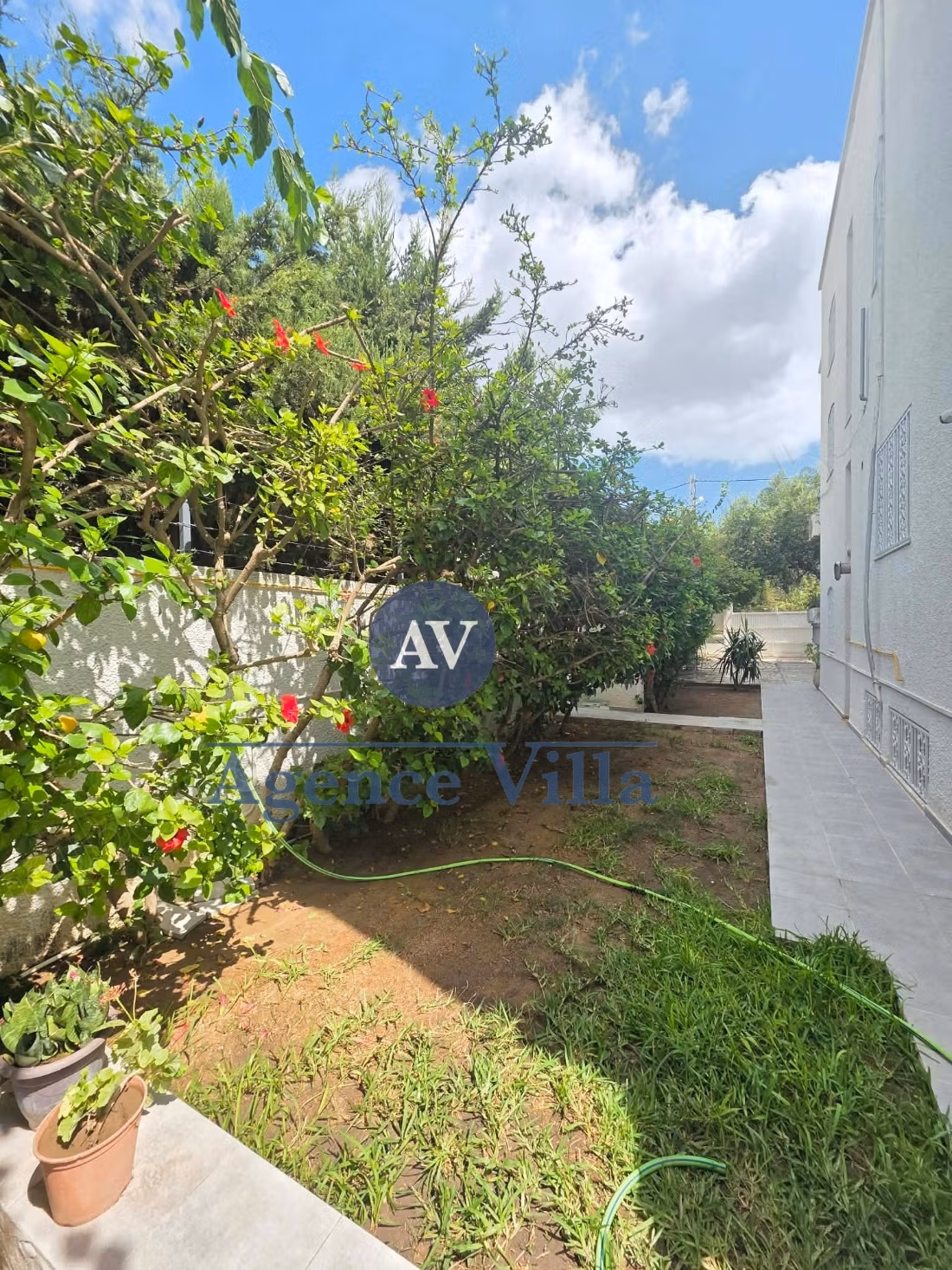 In affitto - Villa S5 con terrazza e vista mare a Cartagine Salambo