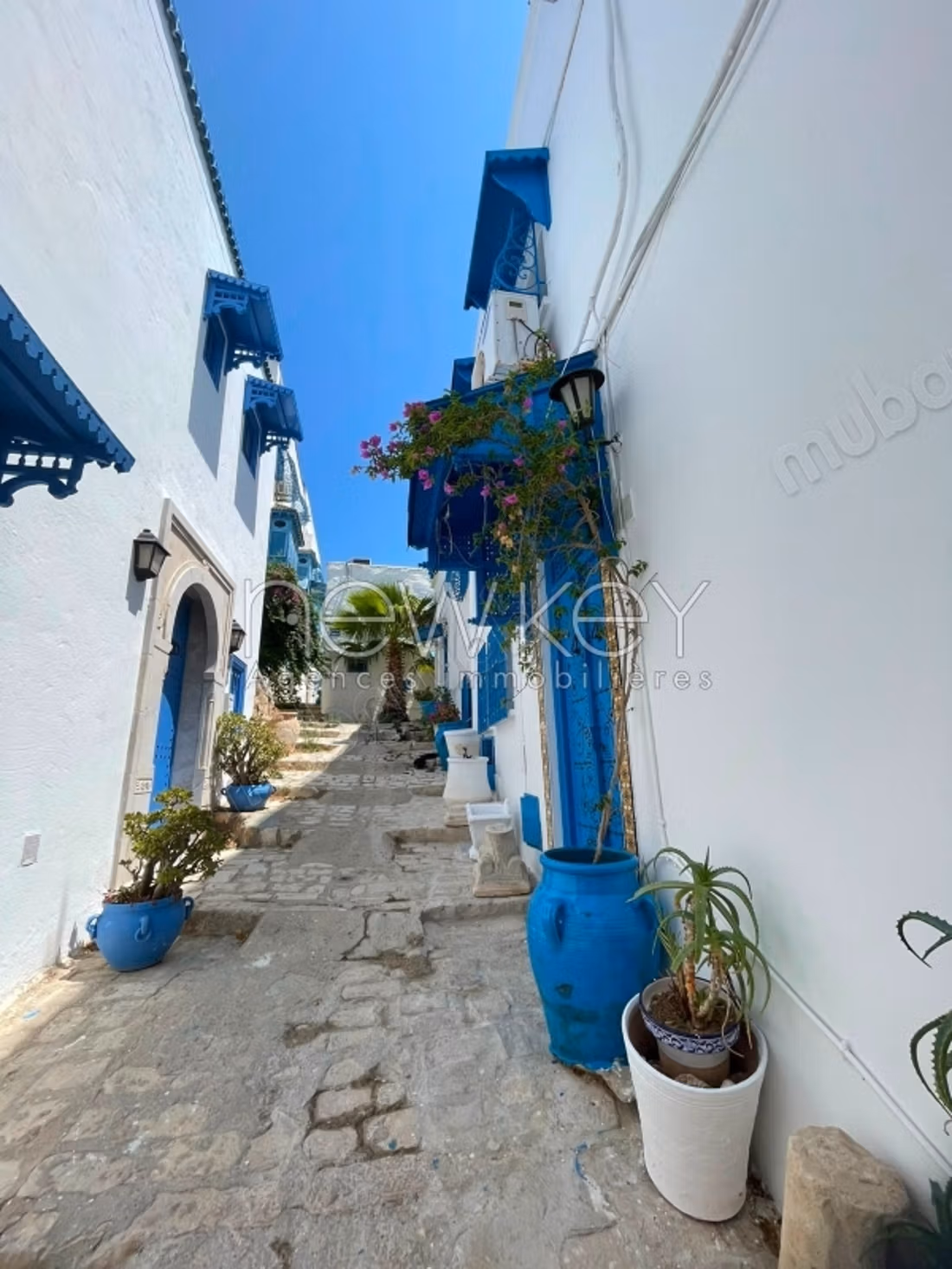 A louer un duplex meublé à Sidi Bou Said