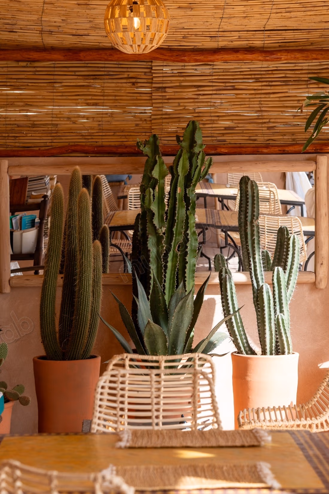 Exceptional riad titled at Bab Dokala, 6 bedrooms, swimming pool, hammam and high potential.
