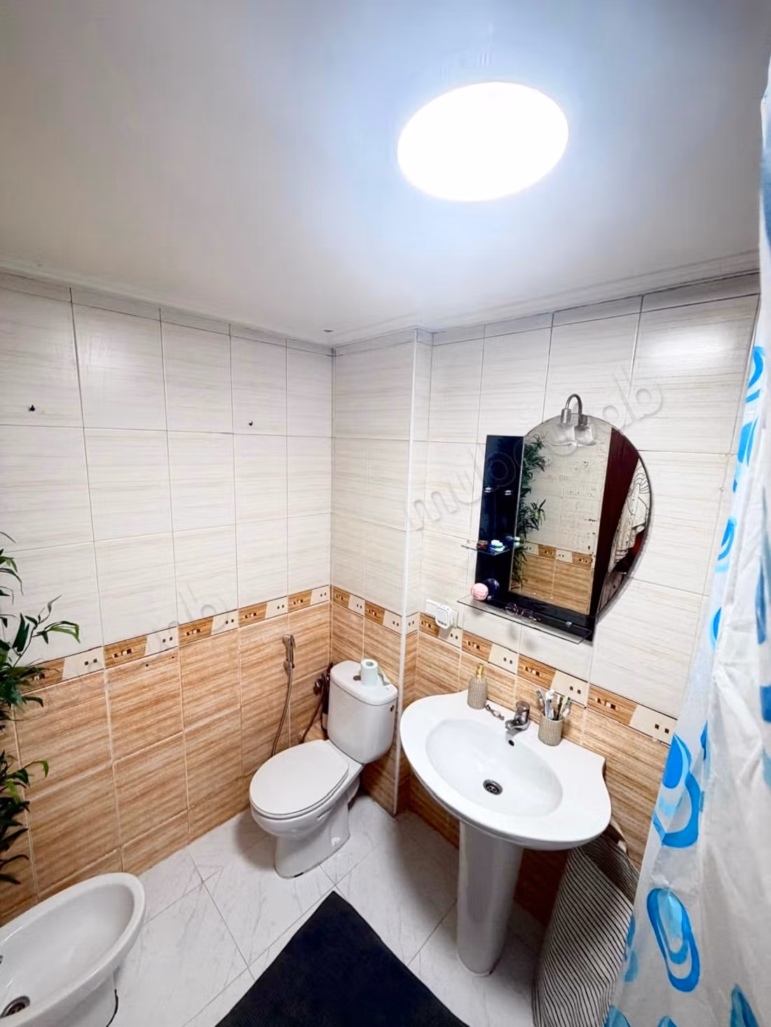 Apartment for Rent Furnished or Empty Belvedere