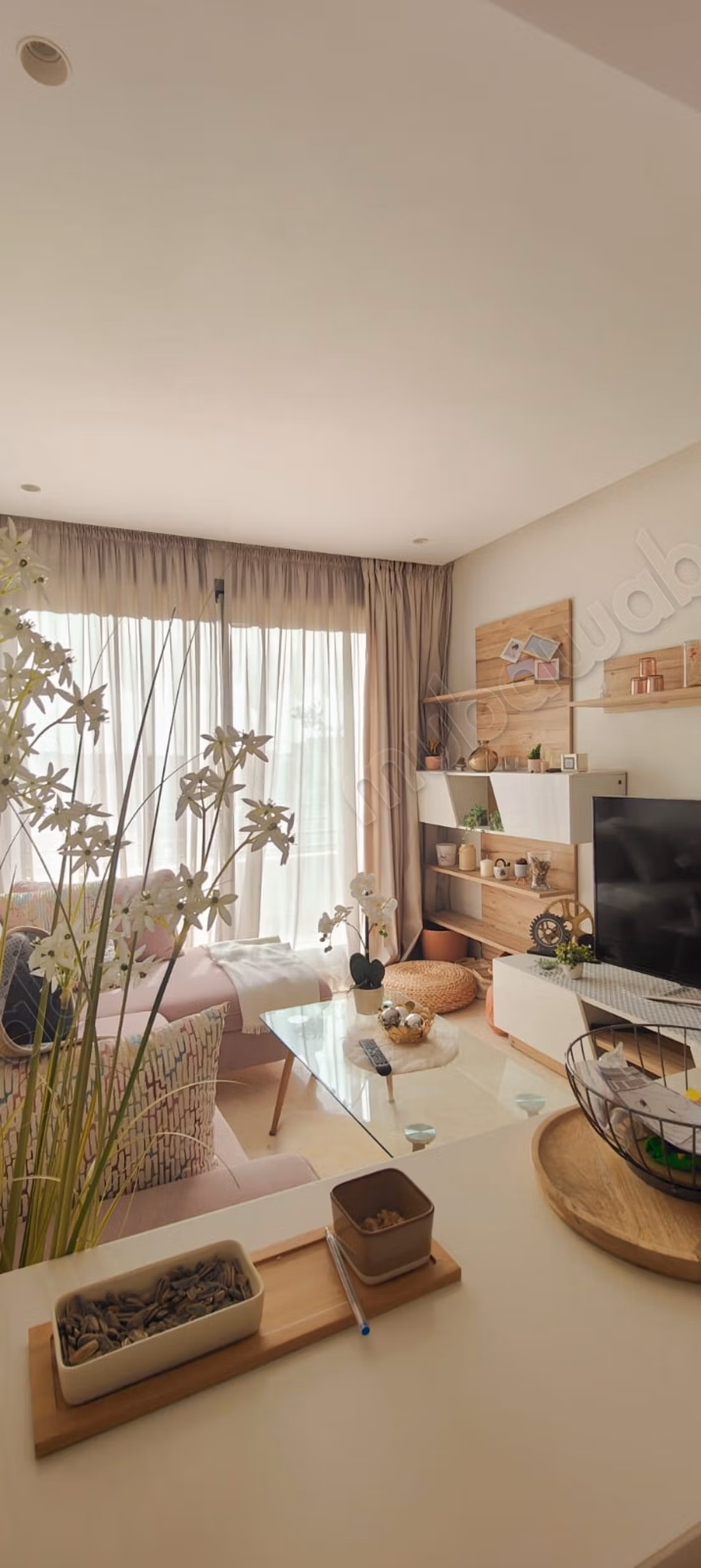 Studio de luxe unique cheikh zayed