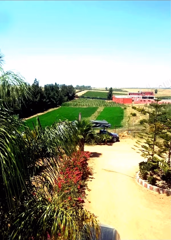 A vendre ferme 14 Hectares 
brachoua