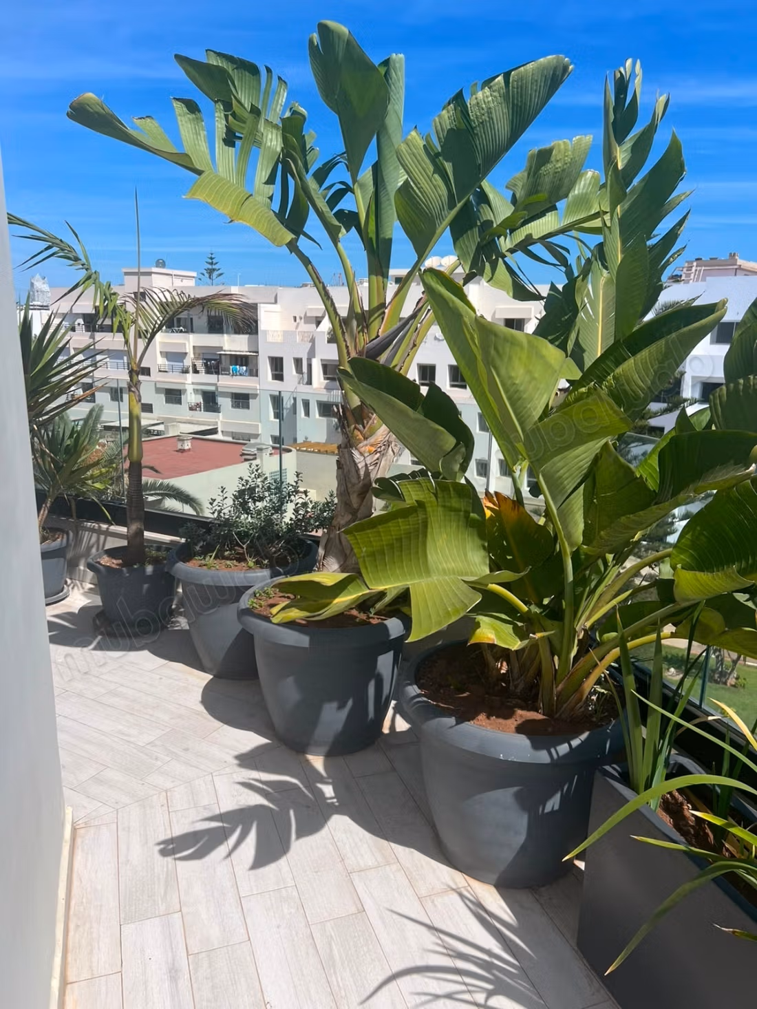 Penthouse d'exception au calme