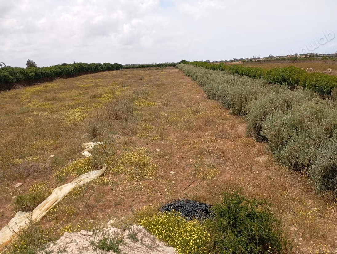 Mooie grond te koop in Bir Jdid. Oppervlakte 1000 m²