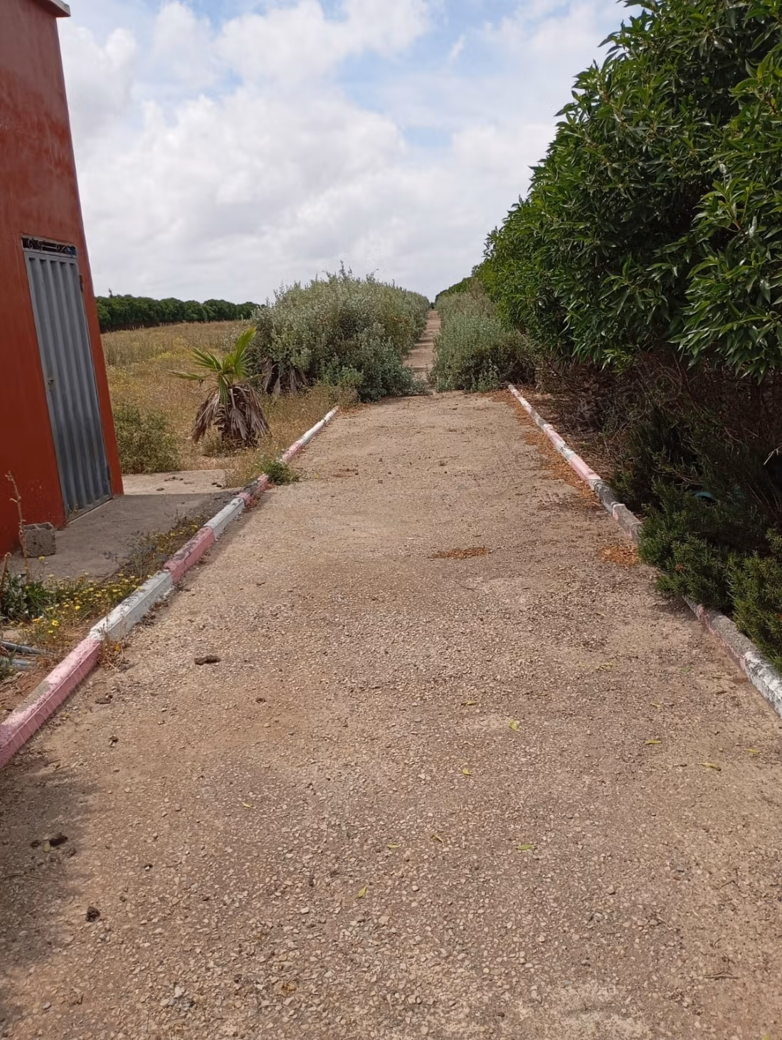 Mooie grond te koop in Bir Jdid. Oppervlakte 1000 m²