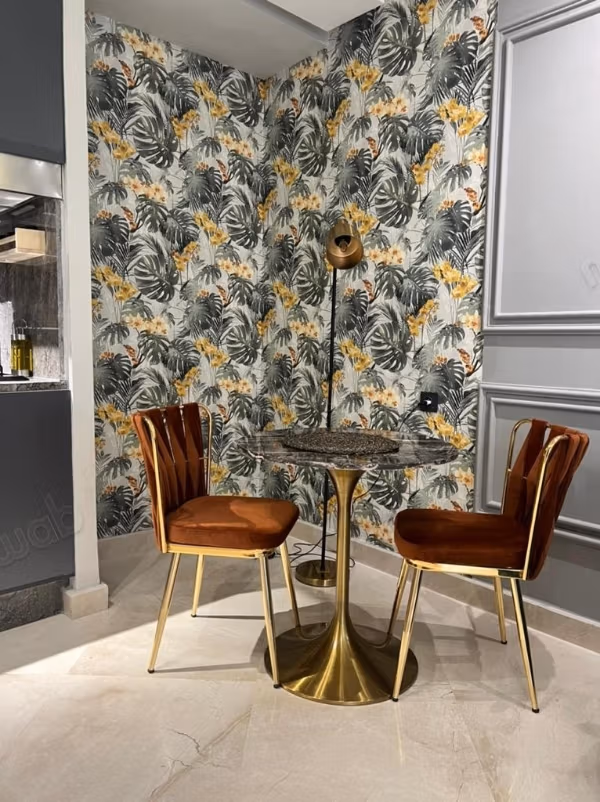 Studio meublé ensoleillé
