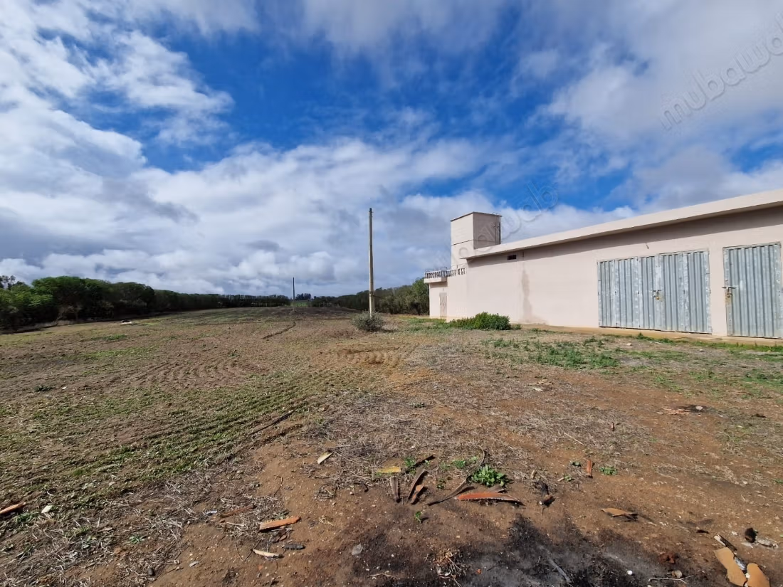 Belle Ferme titrée de 1 ha près de Benslimane