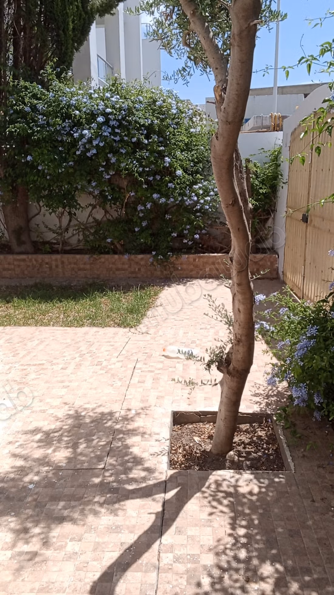 Ville Mrezga Nabeul Plus Studio
