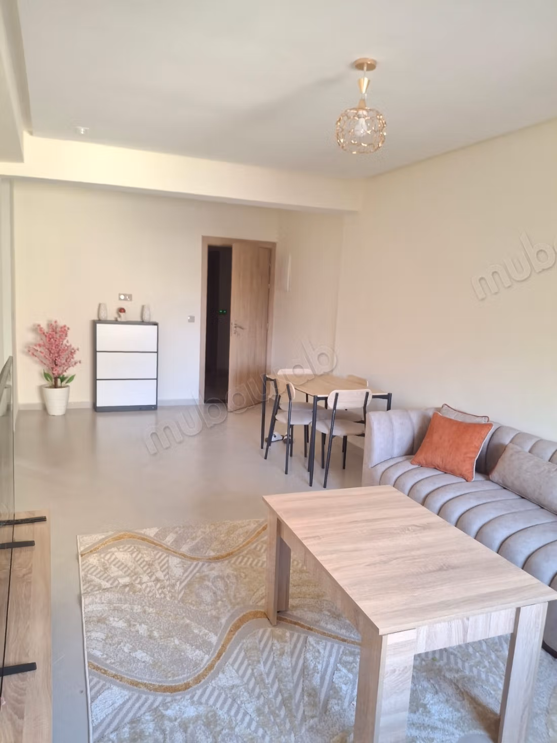 Appartement neuf meuble