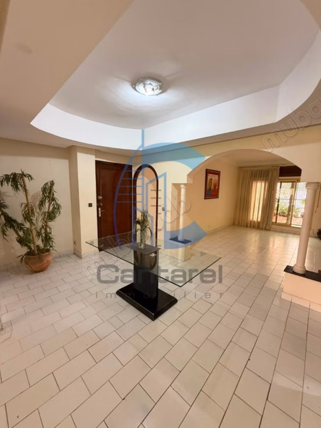 Appartement à vendre palmier