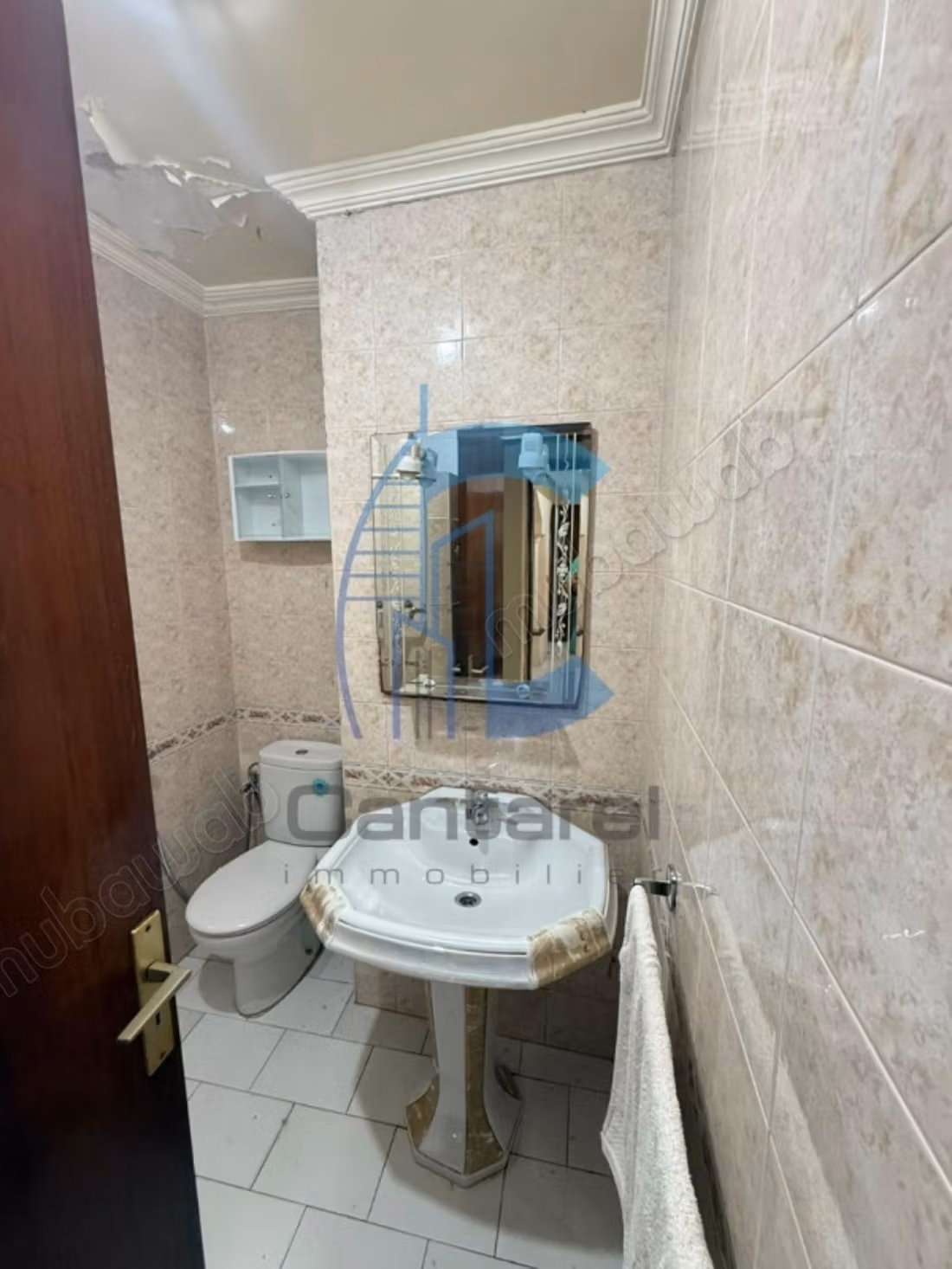 Appartement à vendre palmier