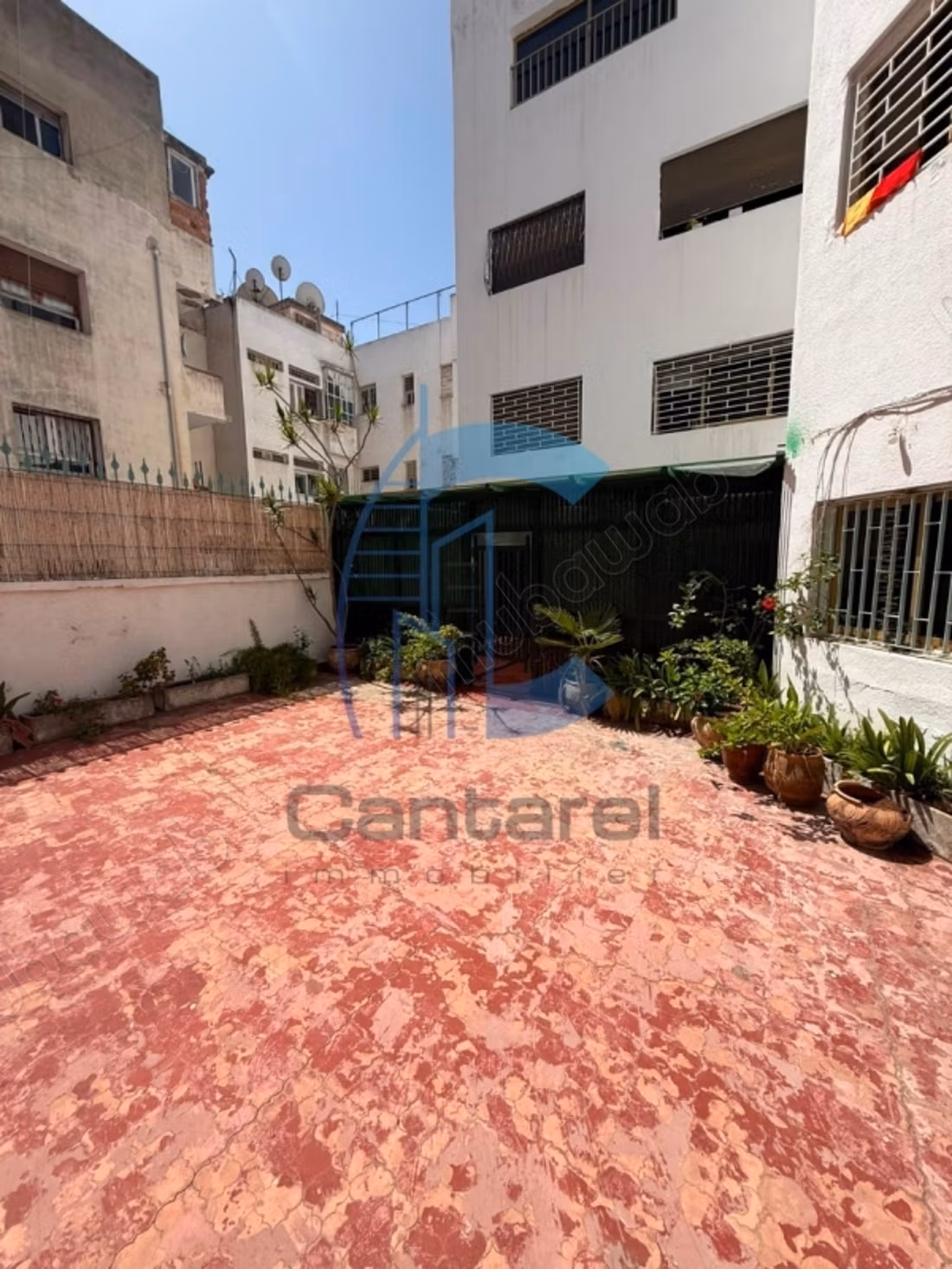 Appartement à vendre palmier