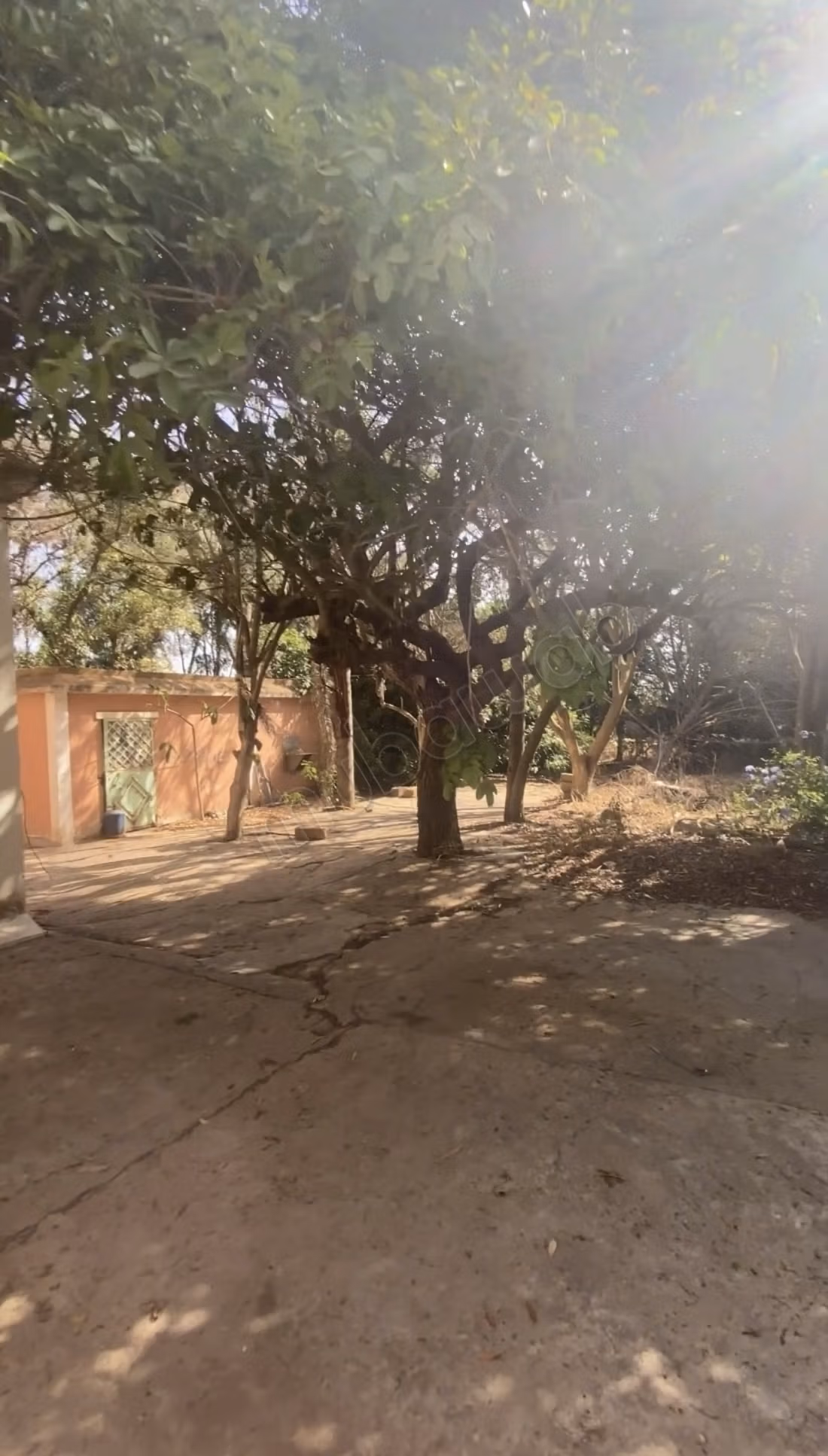 Granja registrada en venta en Bouskoura, Casablanca 2.98 hectáreas