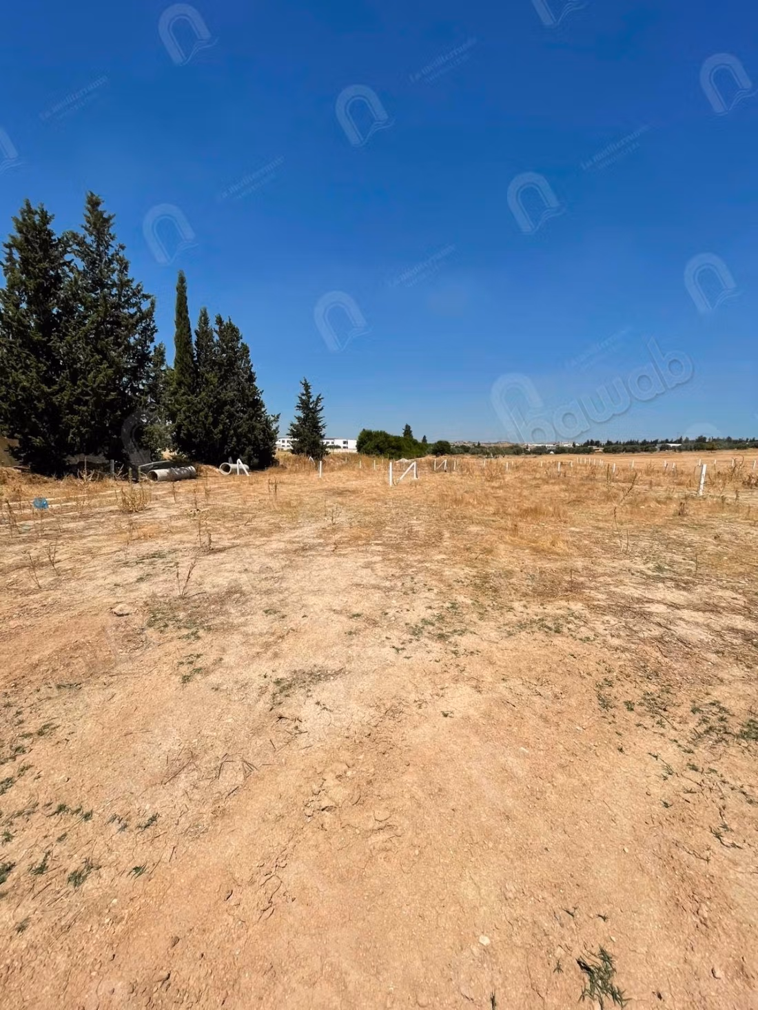 For sale a plot in Mornaguia