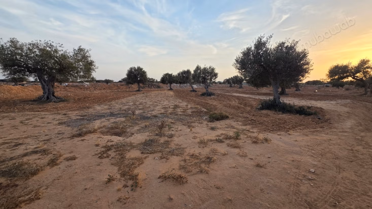 Achat de terrain à Aghir. Surface totale 1799 m²