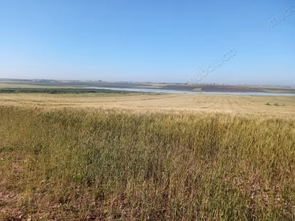 Vente de terrain à dar caïd si aissa. 
Surface totale 20000 m²