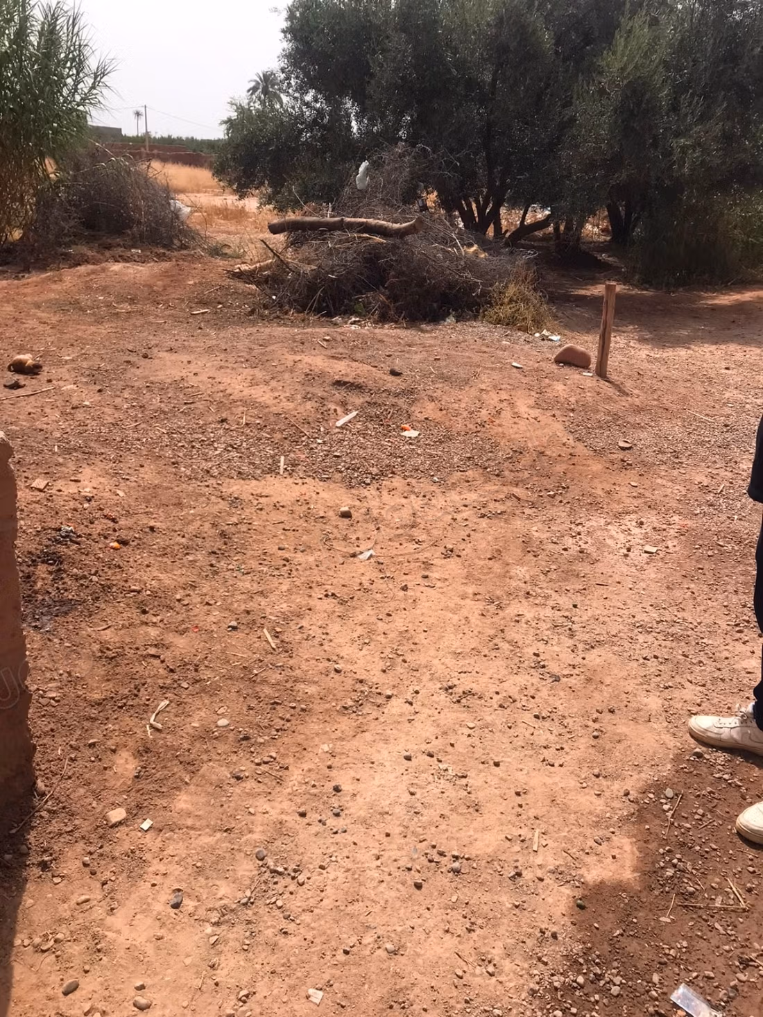 Terrain a vendre Ouled Hassoune