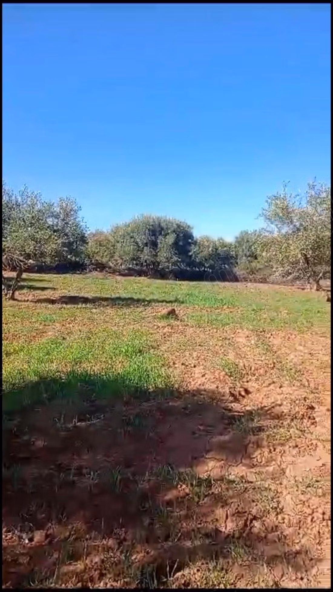 Prachtig land te koop in Ourika. Totale oppervlakte 40270 m²