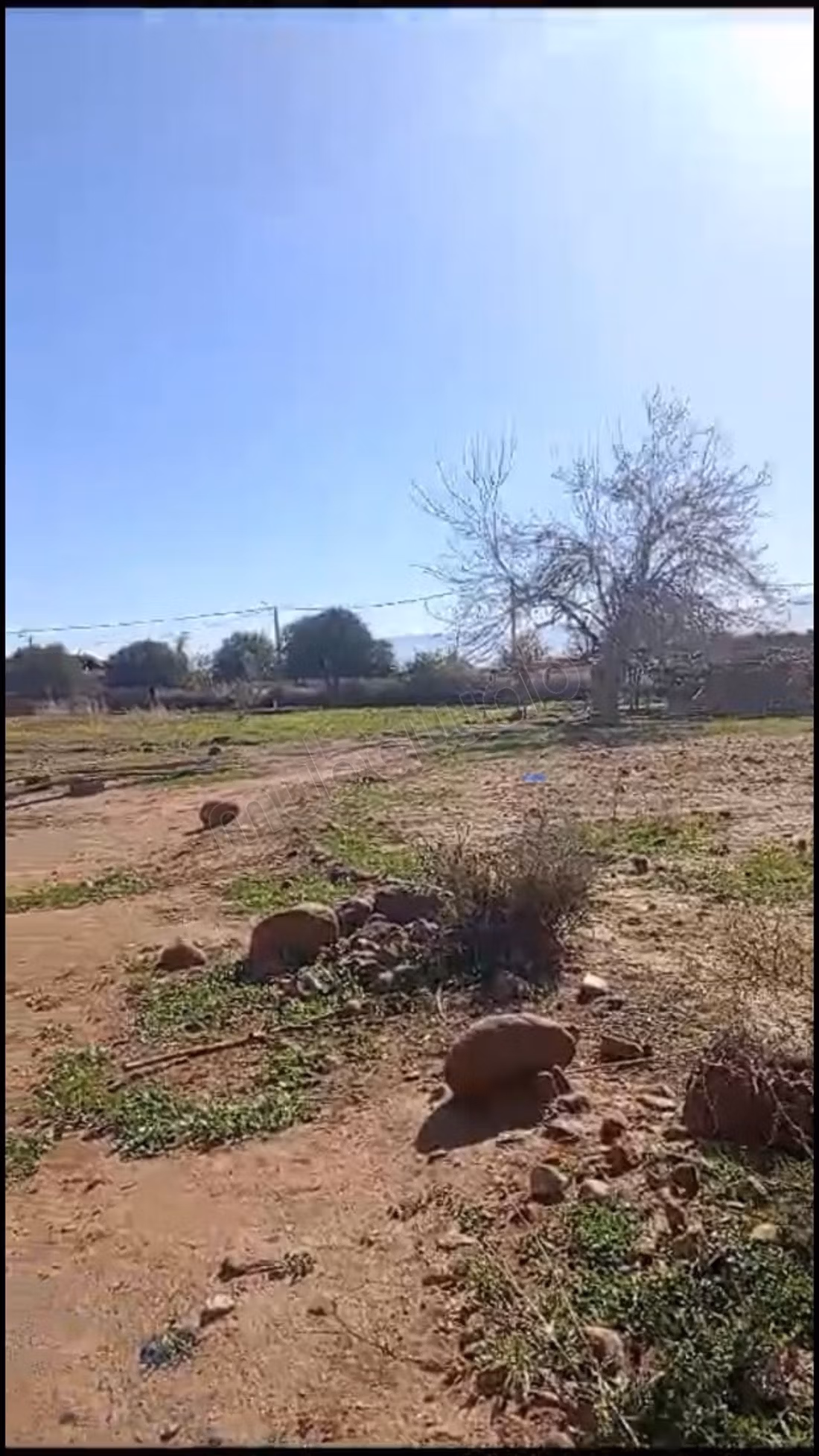 Prachtig land te koop in Ourika. Totale oppervlakte 40270 m²