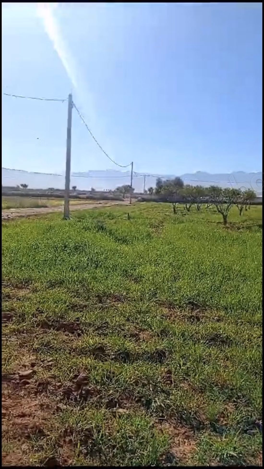 Prachtig land te koop in Ourika. Totale oppervlakte 40270 m²