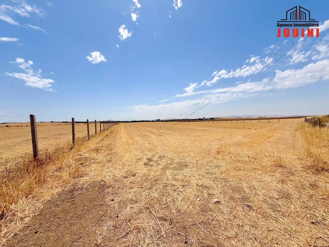 Agricultural Land of 2 Ha in El Mornaguia