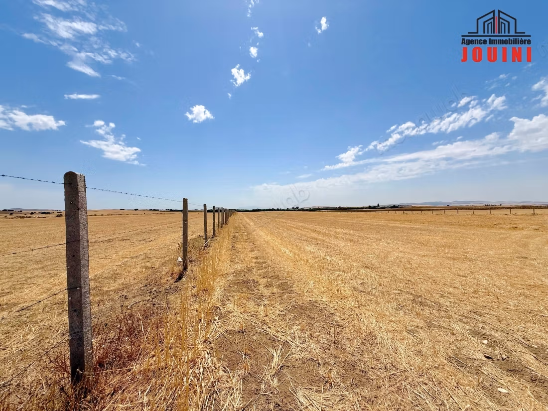 Agricultural Land of 2 Ha in El Mornaguia